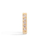 Ambrosia - mono orecchino