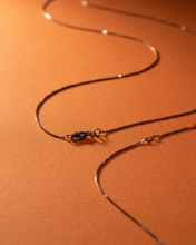 Carica l&#39;immagine nel visualizzatore di Gallery, L&#39;apparicella - Protezione