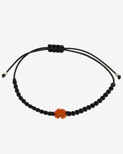 Il granchietto - scoglio