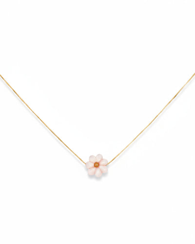 La Margherita - Bellezza