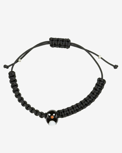 Il pinguino - Unicità